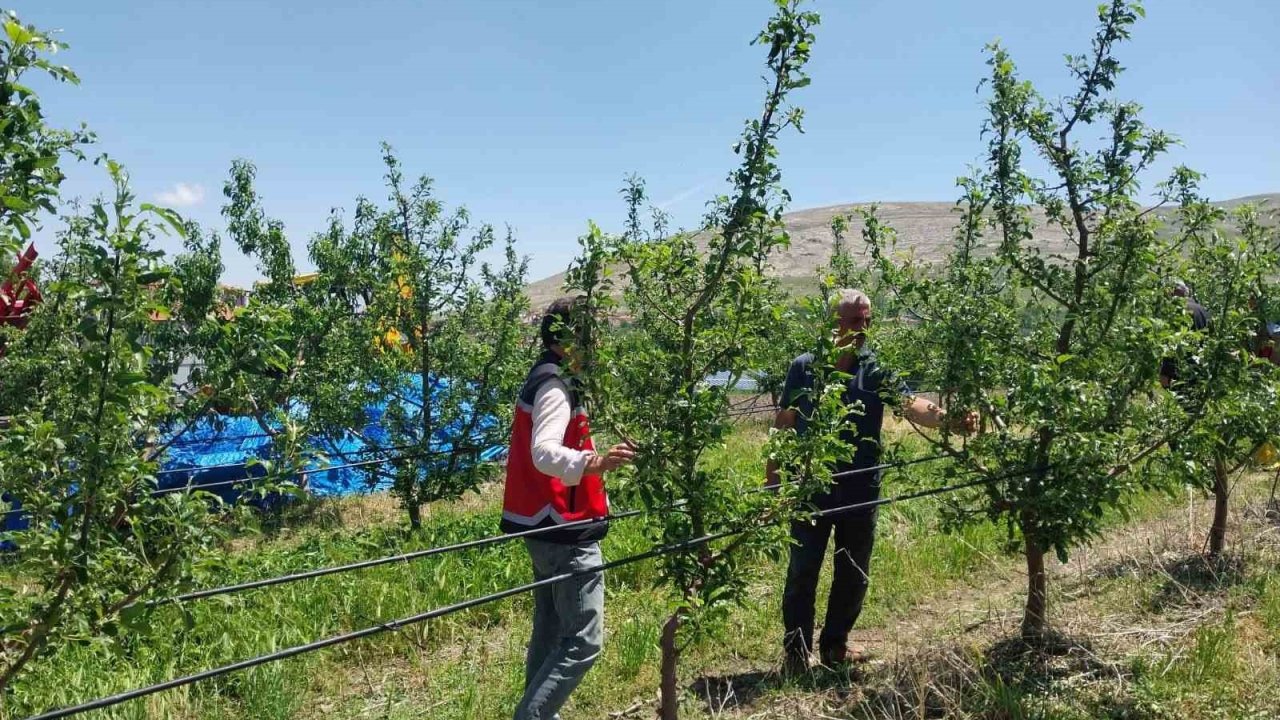 Niğde’de dolu ve sağanak tarım arazilerine zarar verdi