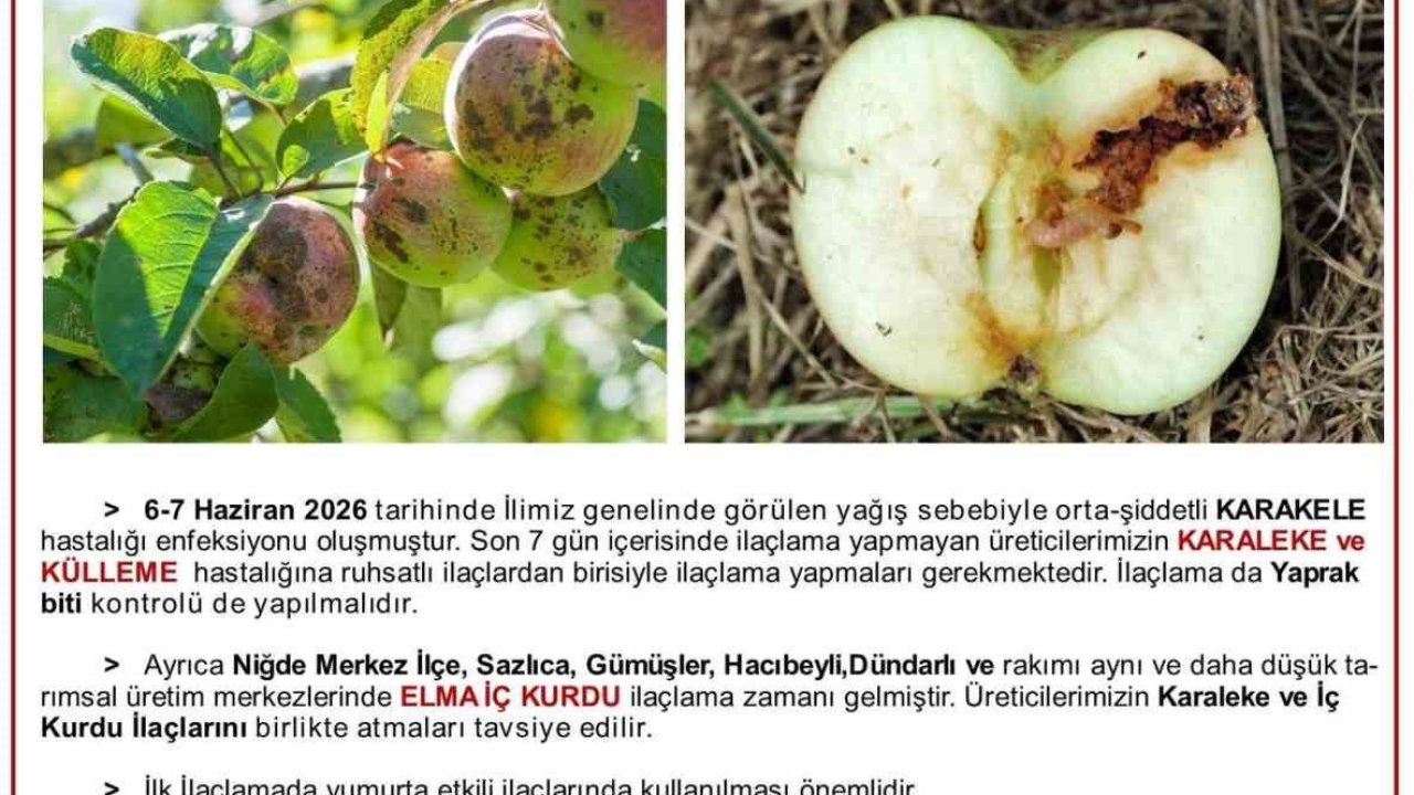 Üreticilere karaleke ve iç kurdu uyarısı