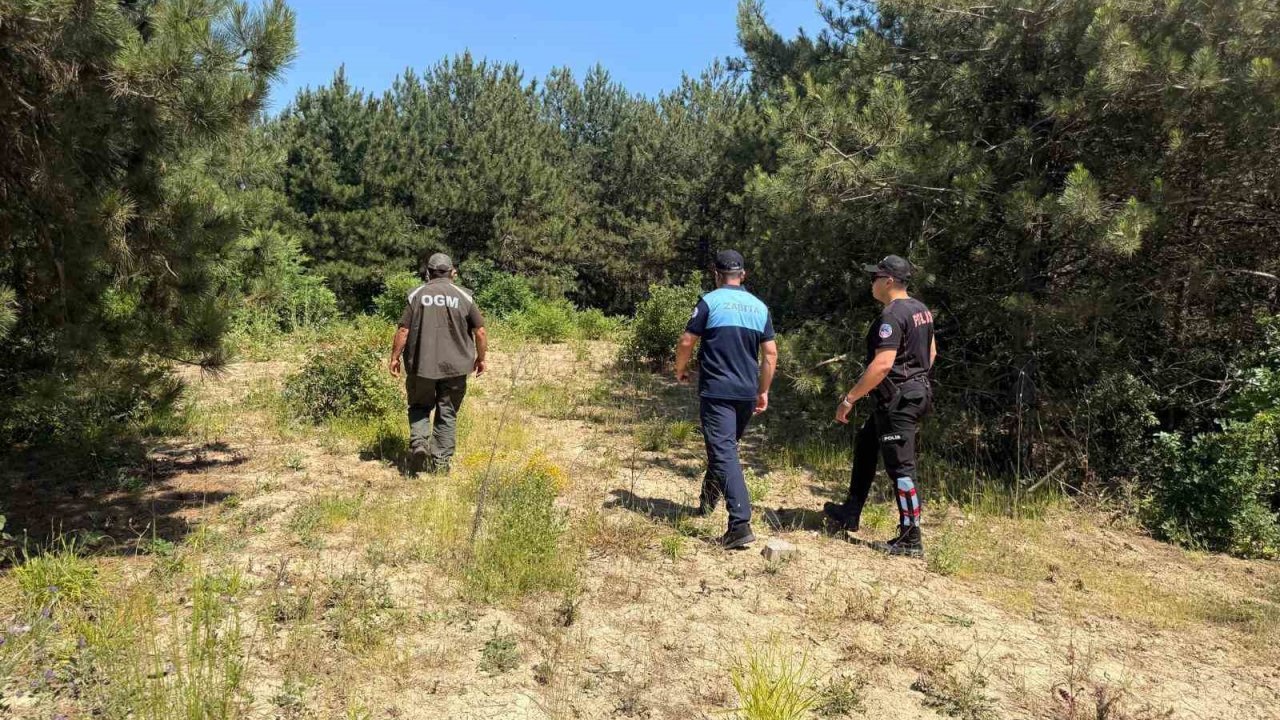 Dilovası’nda orman yangınlarına karşı sıkı denetim