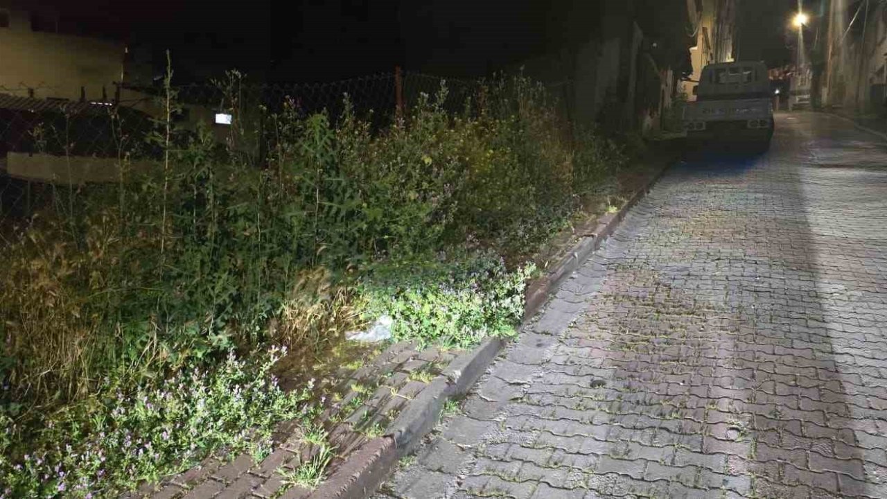 Bilecik’te vatandaşlar otlardan kaldırımda yürüyemiyor