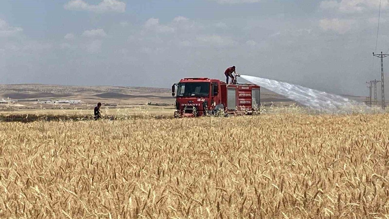 Mardin’de yaklaşık 300 dönüm ekili alan alevlere t