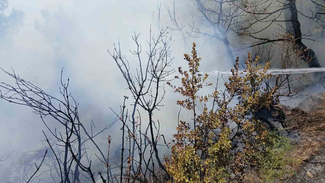 Bursa’da piknik alanı yakınındaki yangın korkuttu
