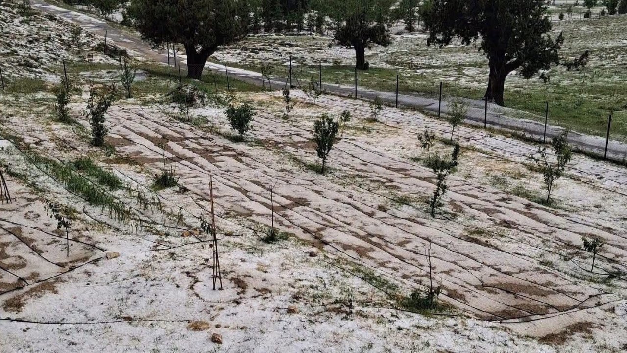 Mersin Erdemli’de dolu tarım alanlarına zarar verdi