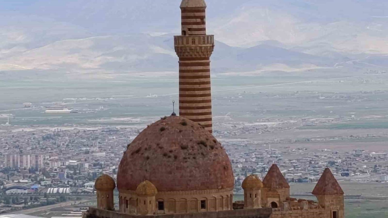 İshakpaşa Sarayı’nın kubbesindeki otlar ziyaretçilerin dikka