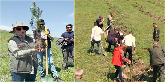SERKA'dan Sürdürülebilir Geleceğe 2.000 Fidanlık Katkı