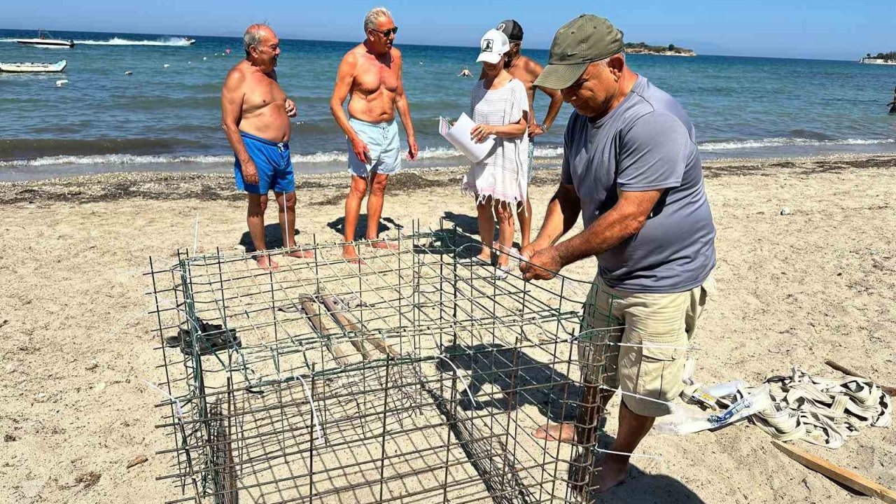 Didim’de ikinci caretta yuvası koruma altına alındı