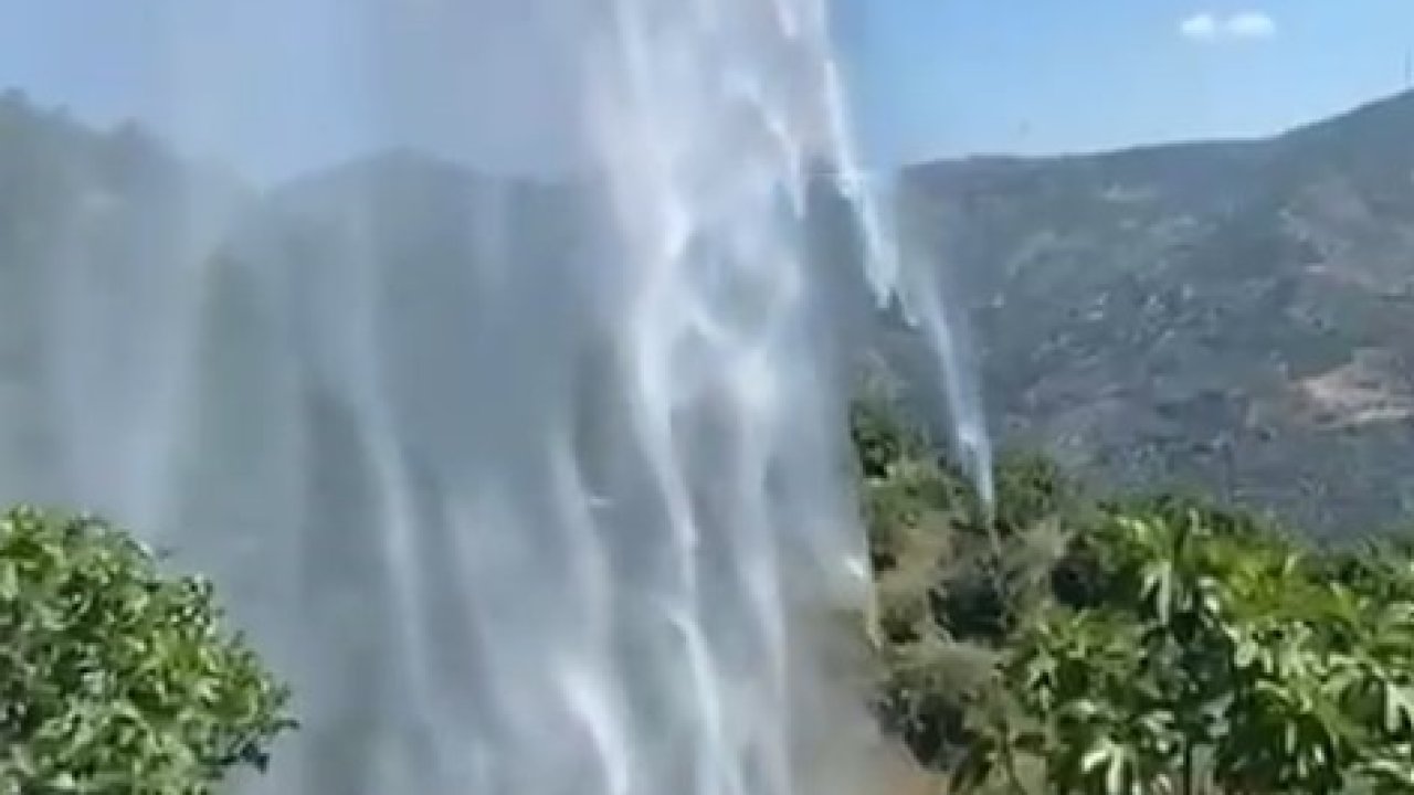 Yemek ısıtmak için yaktığı ateş incir bahçesini kül etti