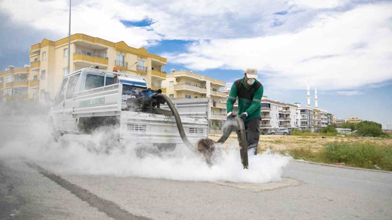 Mersin’de sinek ve haşerelere karşı yoğun mesai