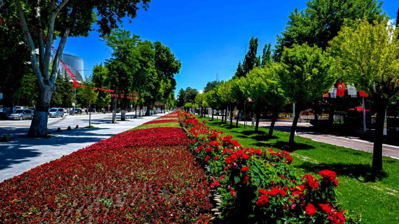 Malatya’da park ve kavşaklar çiçeklerle süslendi