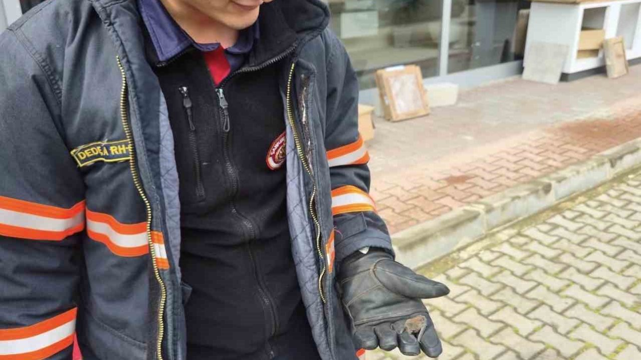 Yaralı yarasa koruma altına alındı
