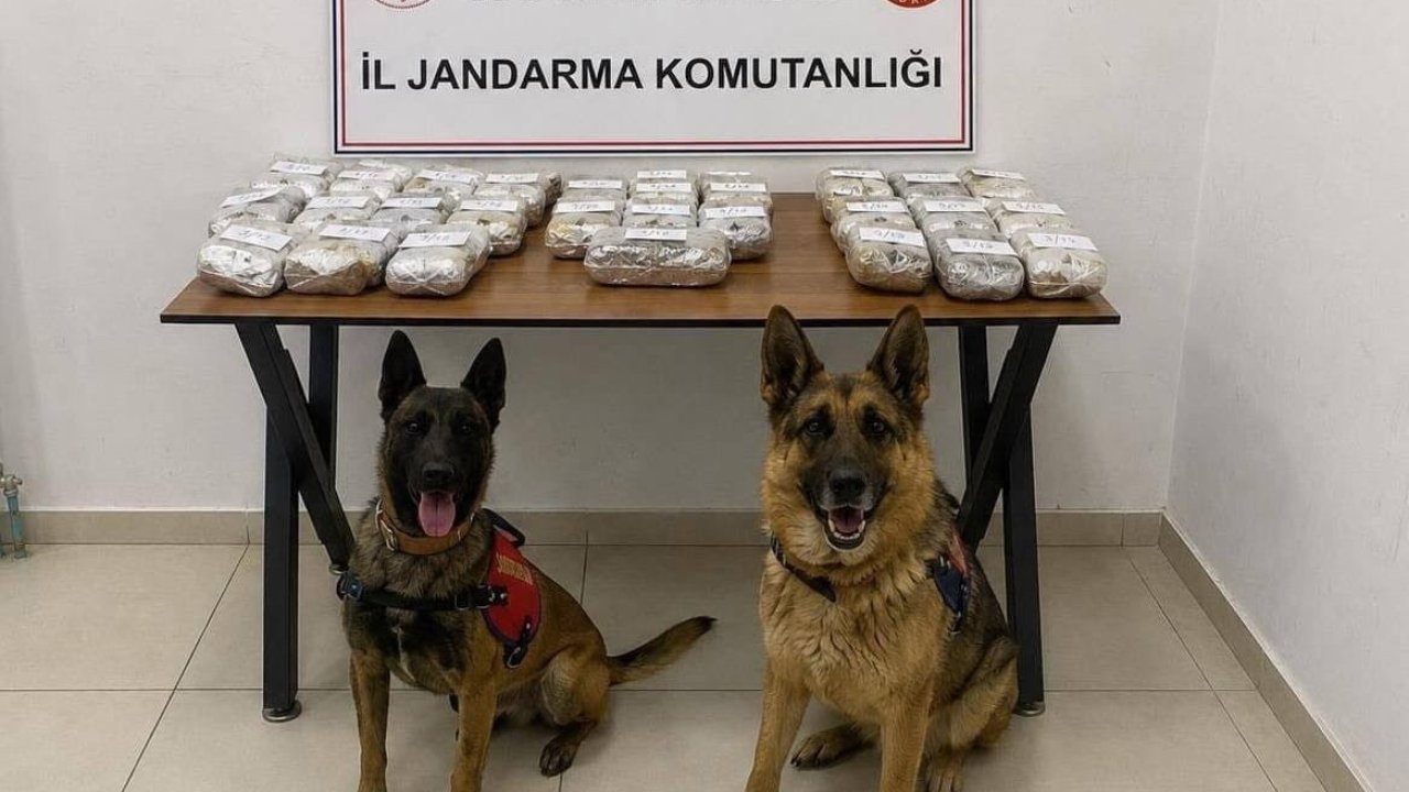 Hakkari’de 21 kilo 650 gram toz esrar ele geçirildi