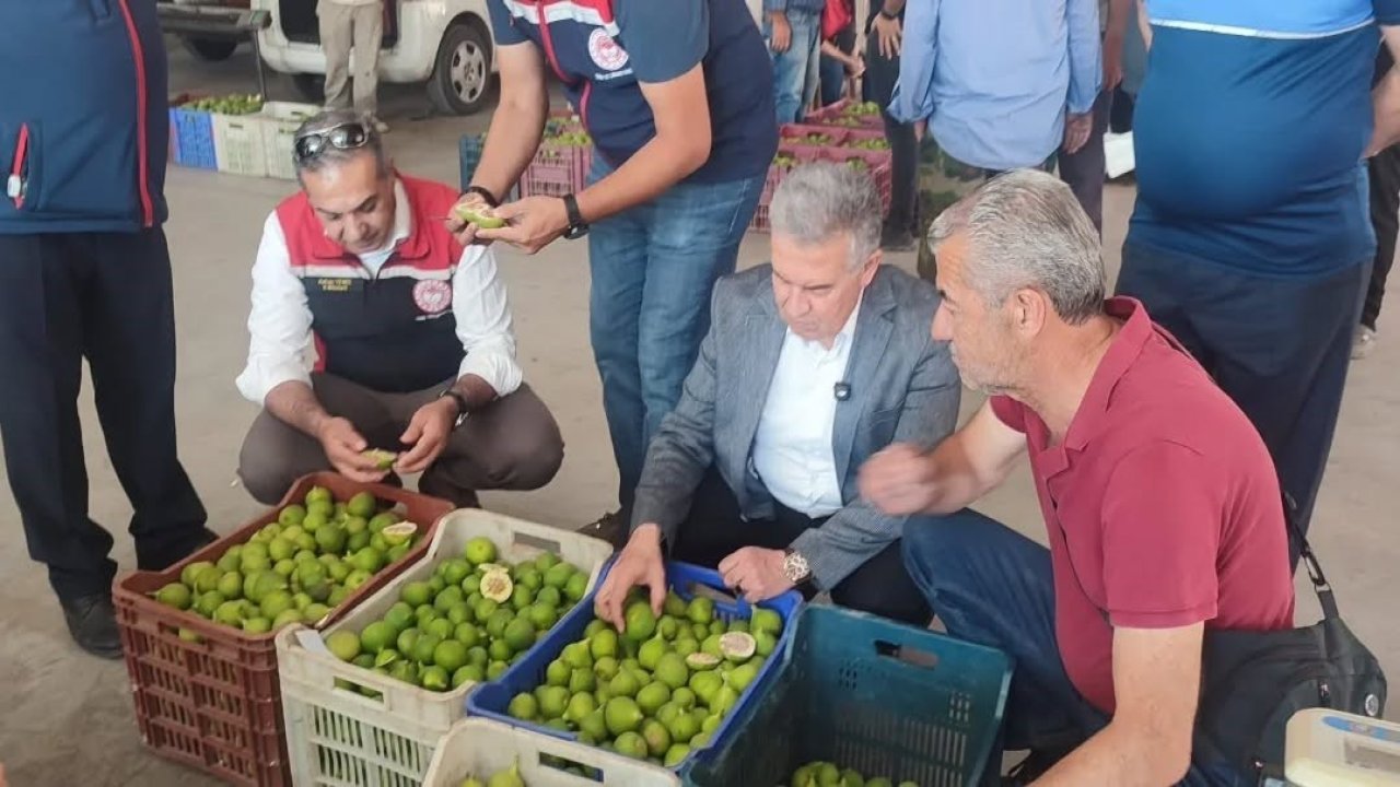 Buharkent’te ilekler, tezgahta incelendi