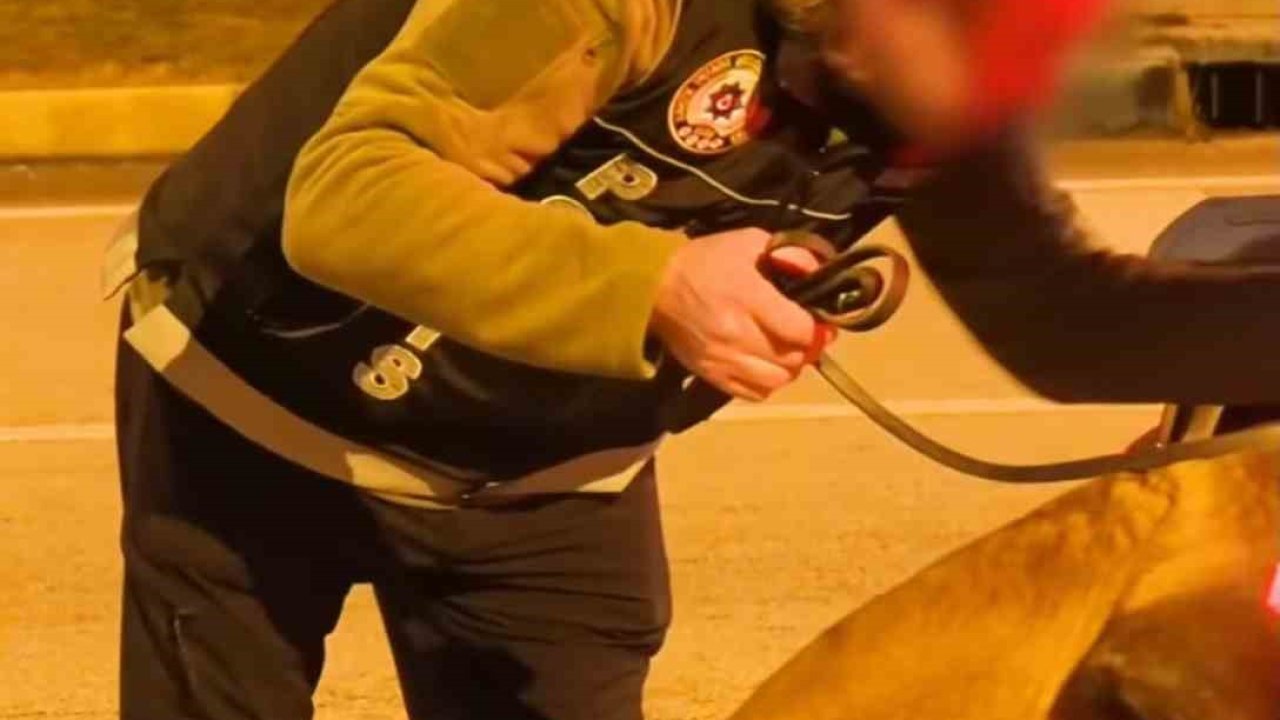 Isparta’da narkotikten bir haftada 18 operasyon, 3 tutuklama