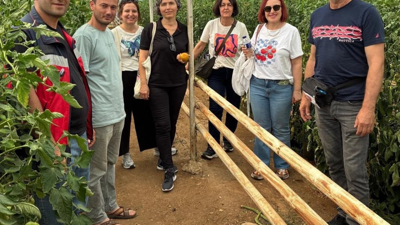 Simav’daki seracılara domates hastalıkları ve zararlıları eğitimi