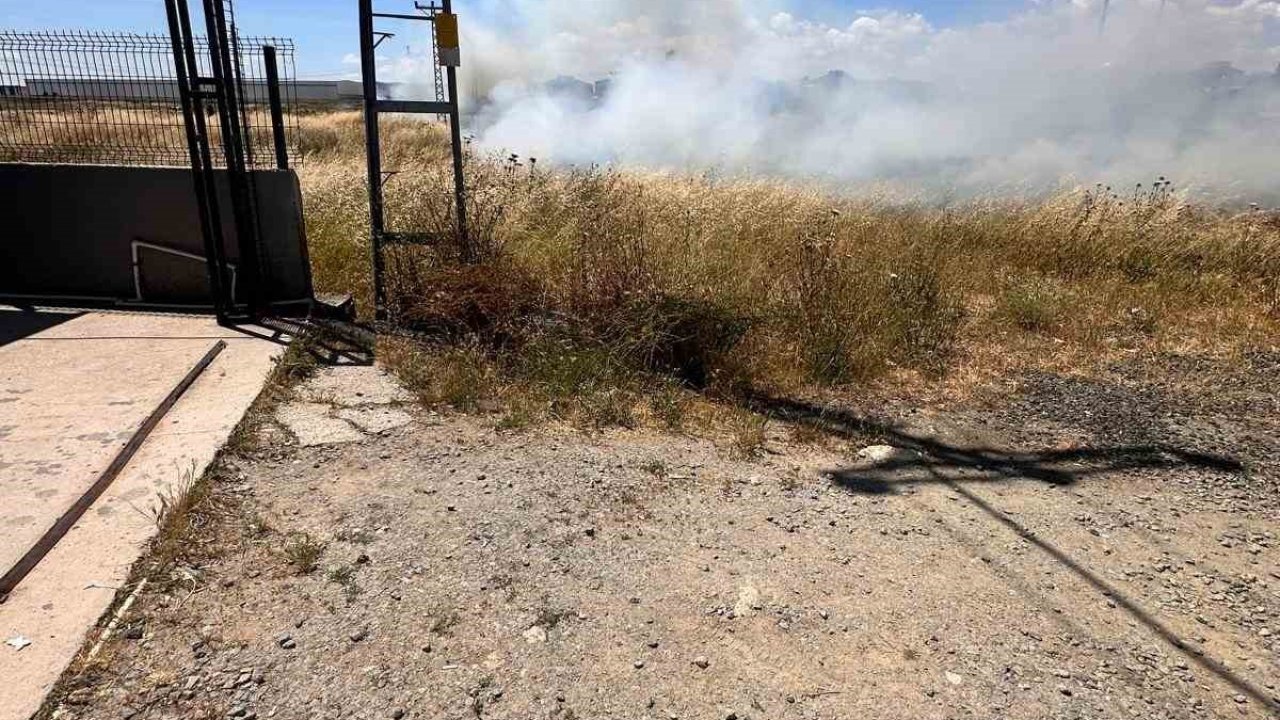 Elektrik tellerine çarpan kuş yangın çıkardı