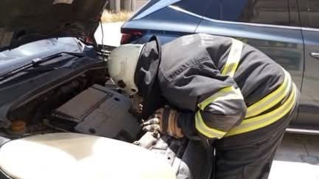 Arsuz’da aracın motor kısmına giren yavru kedi kurtarıldı