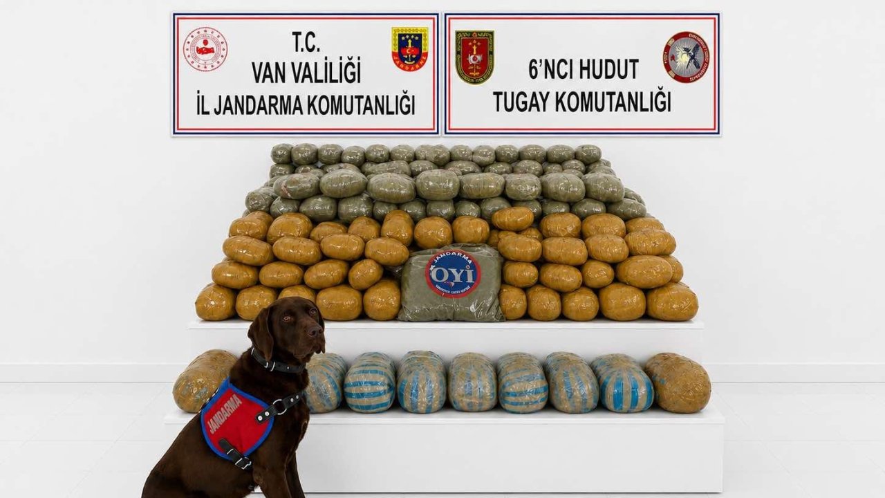 Van’da 291 kilogram toz esrar ele geçirildi