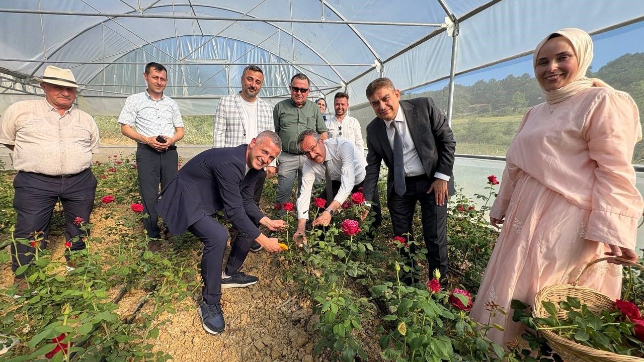 Kadın girişimci hibe desteğiyle Kocaeli’nin ilk gül serasını kurdu
