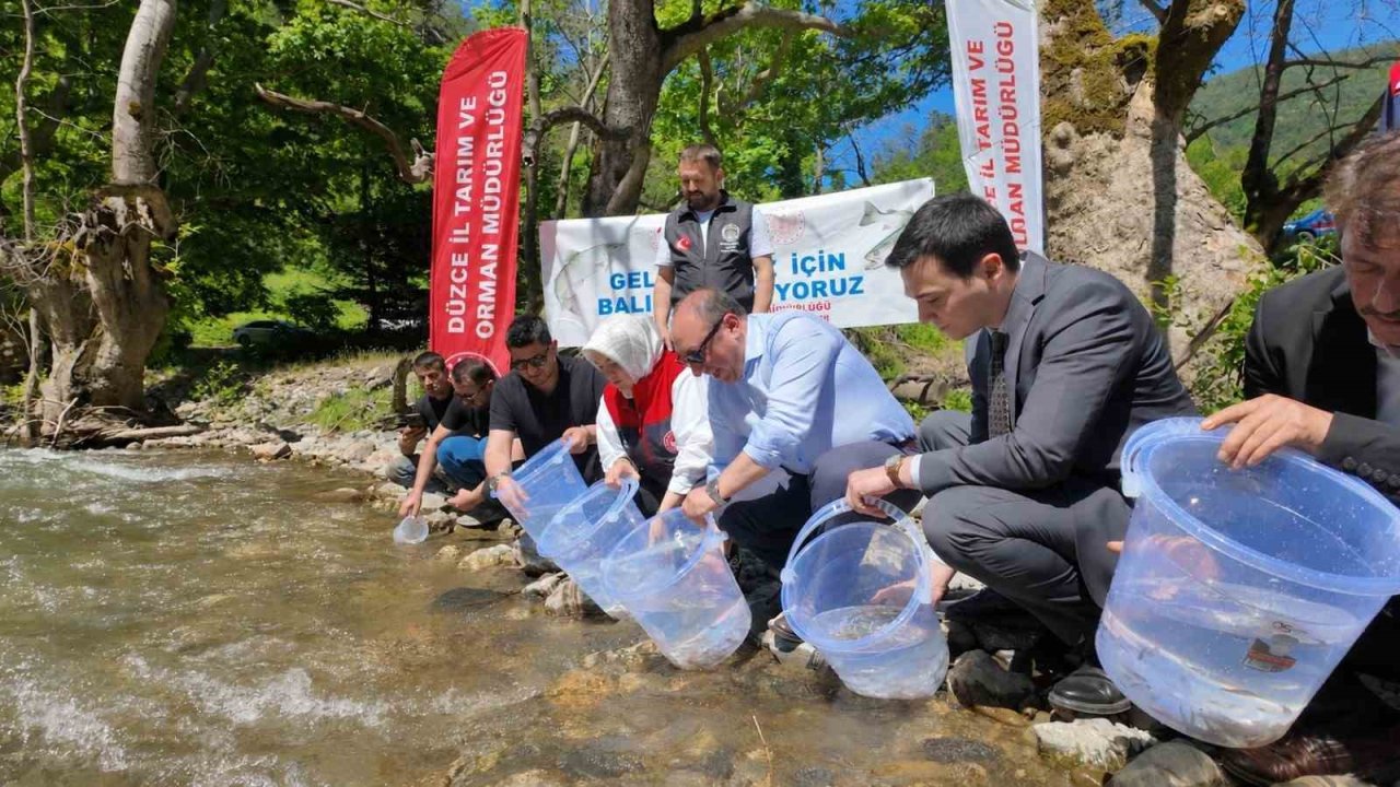 Düzce’de 7 bin 500 kırmızı benekli alabalık yavrusu sularla buluştu