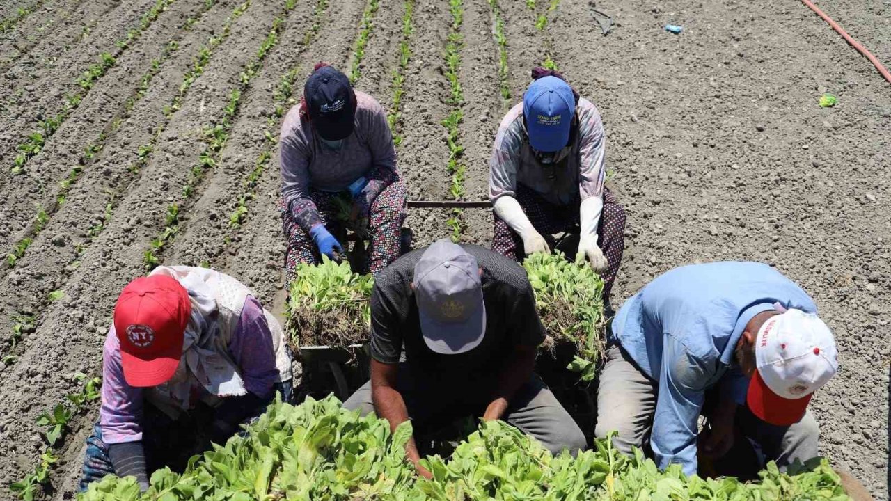 Emsal karar; artık onlar da ihbar tazminatı alacak