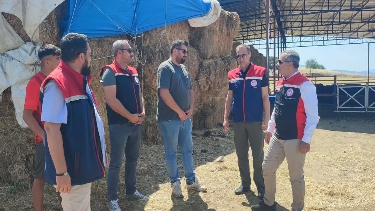 Çine’de üreticiye 30 baş etçi düve desteği