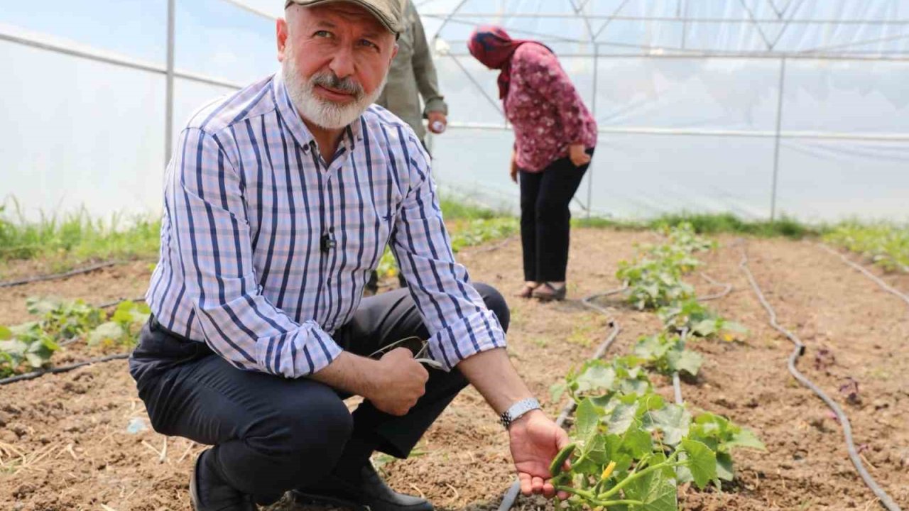 Başkan Çolakbayrakdar: "Şehrin merkezinde tarım yapıyoruz, Türkiye’ye örnek oluyoruz"