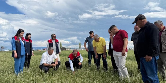 Kars’ta Dolu Afetinin Ardından Hasar Tespit Çalışmaları Başladı