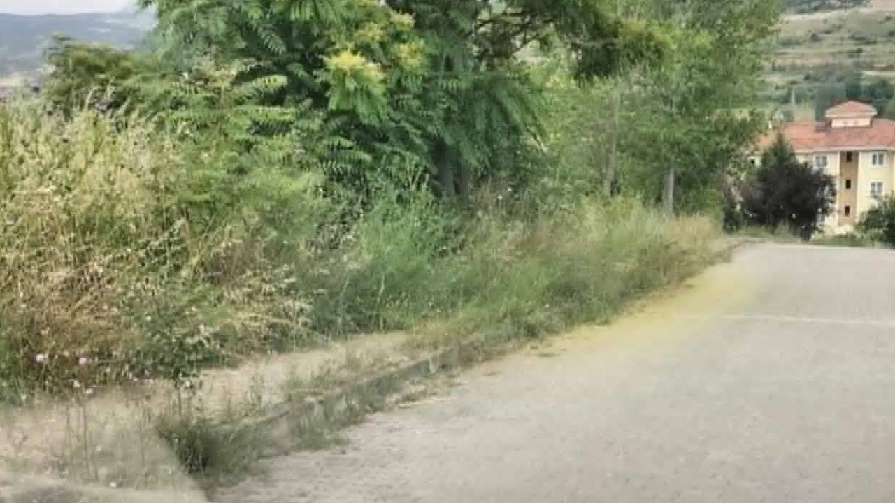 Kaldırımları otlar kaplayınca vatandaşların yılan korkusu başladı