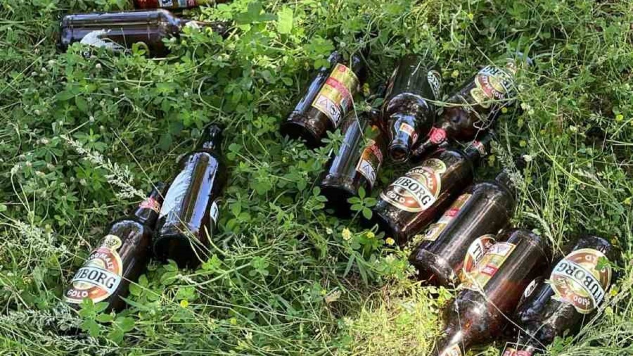 Bilecik’te piknikçiler alanı çöplüğe çevirdi: Doğa ve kamu malı zarar gördü