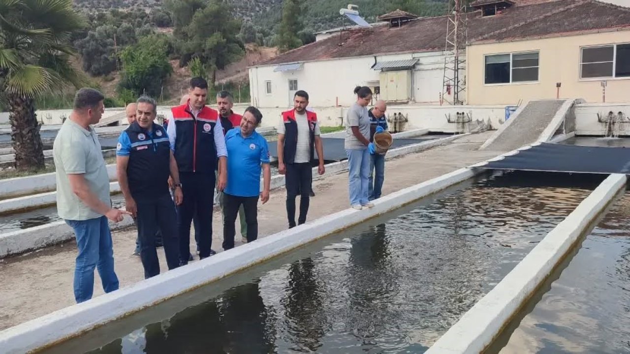 Bozdoğan’da su ürünleri üretimi 3 bin 696 tona ulaştı
