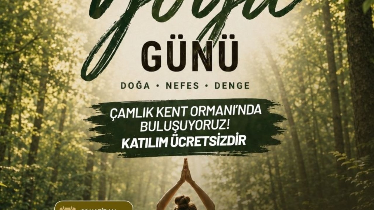 Denizli, Dünya Yoga Gününde Çamlık’ta buluşacak