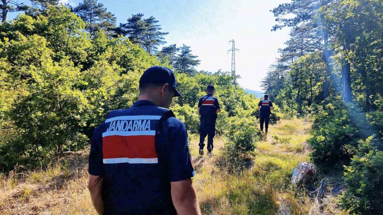 Çanakkale’de orman yangınlarına karşı jandarma ekipleri sahada