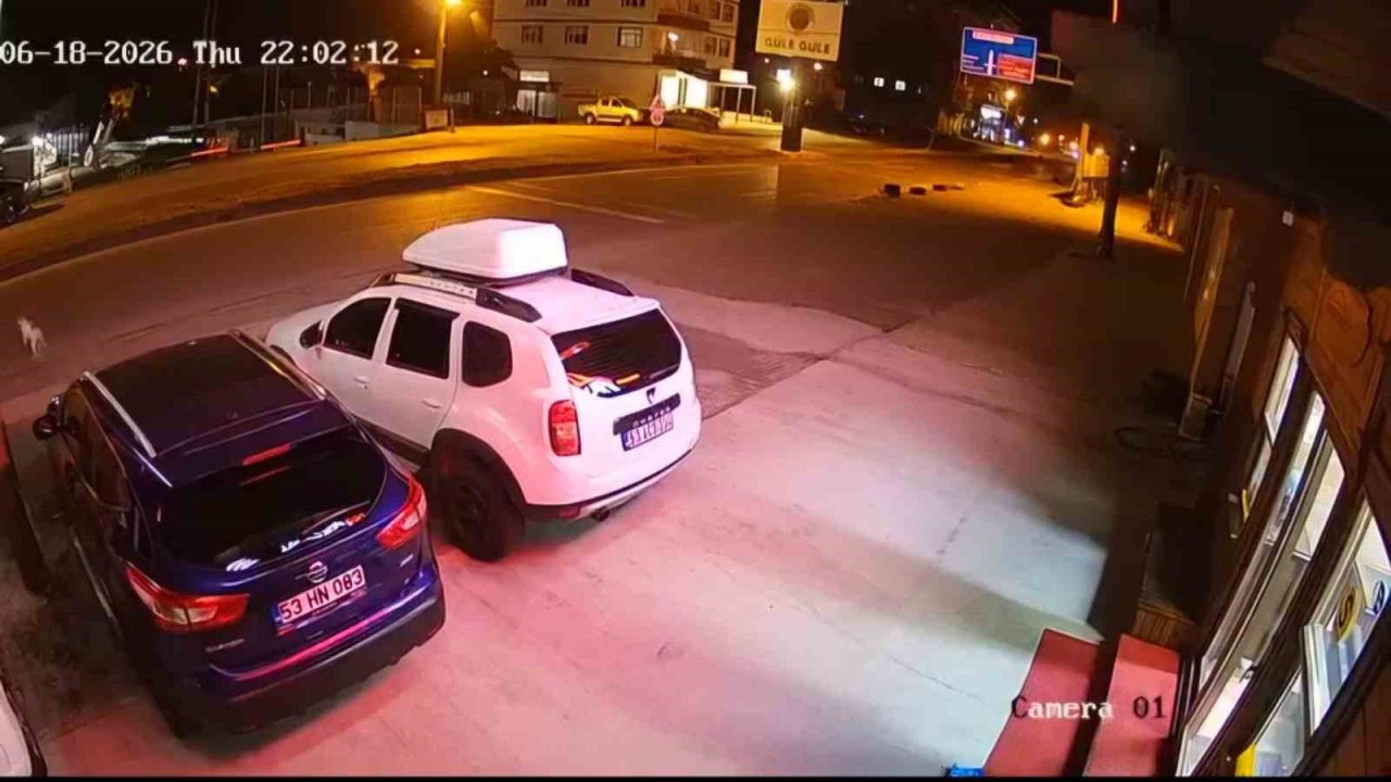 Köpeğe çarpmamak için yaptığı manevra hayatına mal oldu