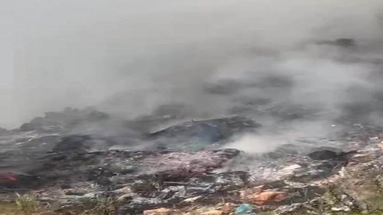 Çöp döküm alanındaki yangın ormana sıçradı