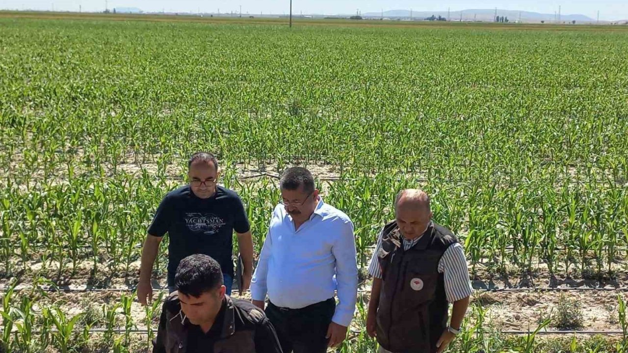 Karapınar’da dolu afetinin etkilediği alanlarda inceleme