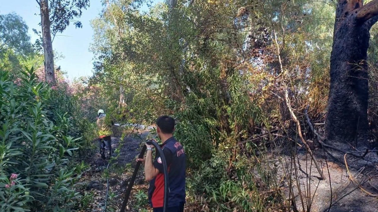 Hassa’da bahçe yangını