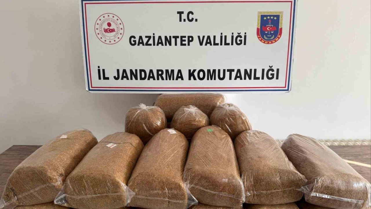 Gaziantep’te 353 aranan şahıs yakalandı