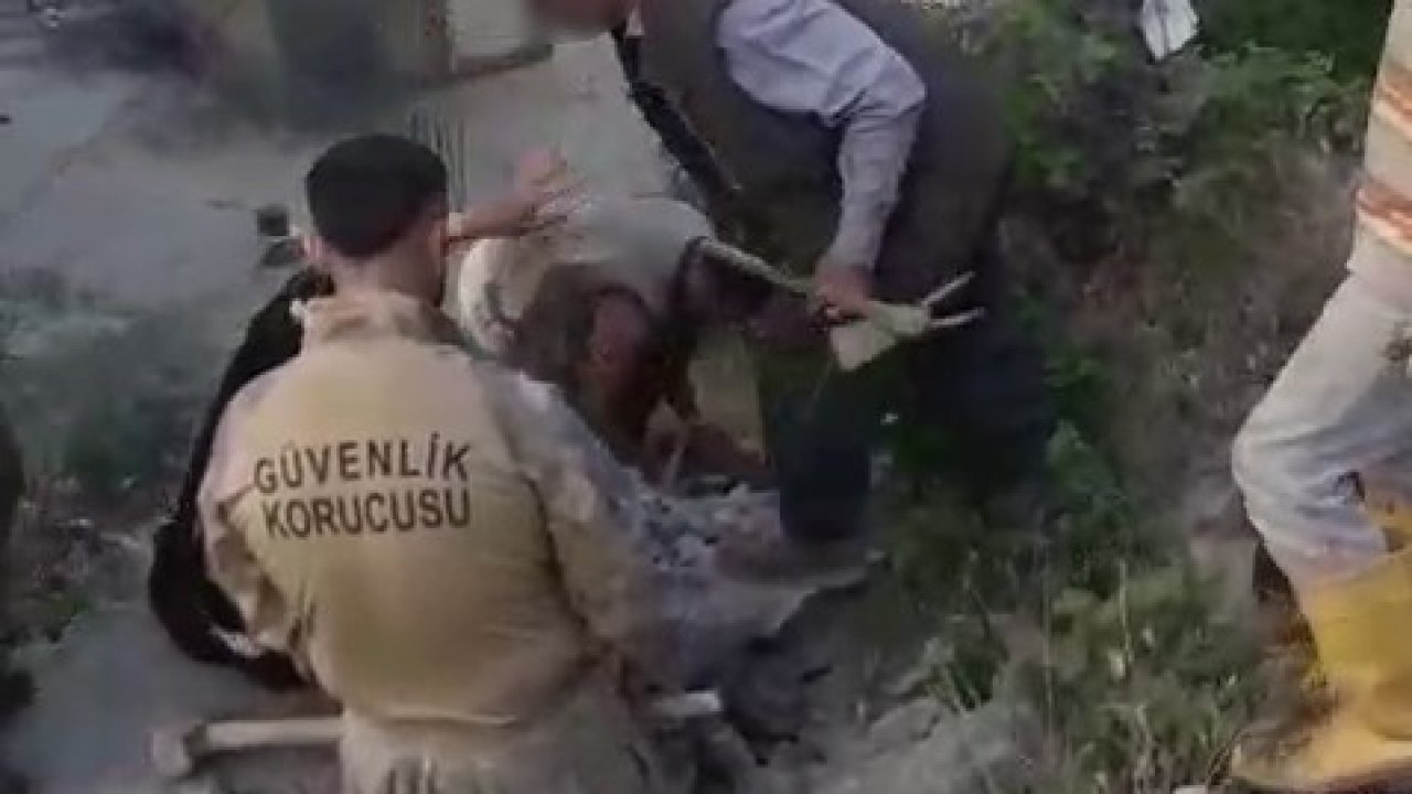 Şırnak’ta kadına şiddet iddiası: 2 gözaltı