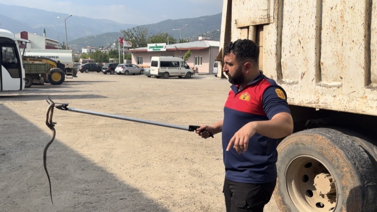 Osmaniye’de kaçak yolcu yılan, üçüncü araçta yakalandı