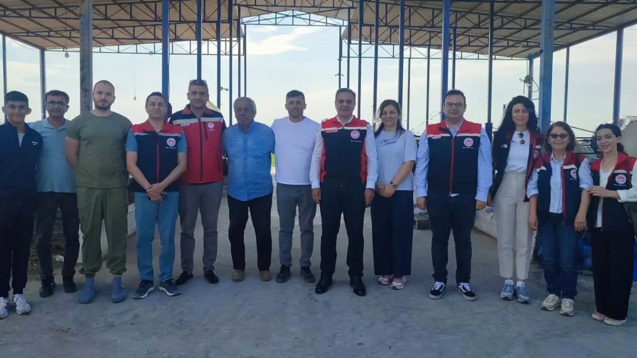 Kırsalda Bereket Hayvancılığa Destek Projesi ile Aydın’da üretim gücü artıyor