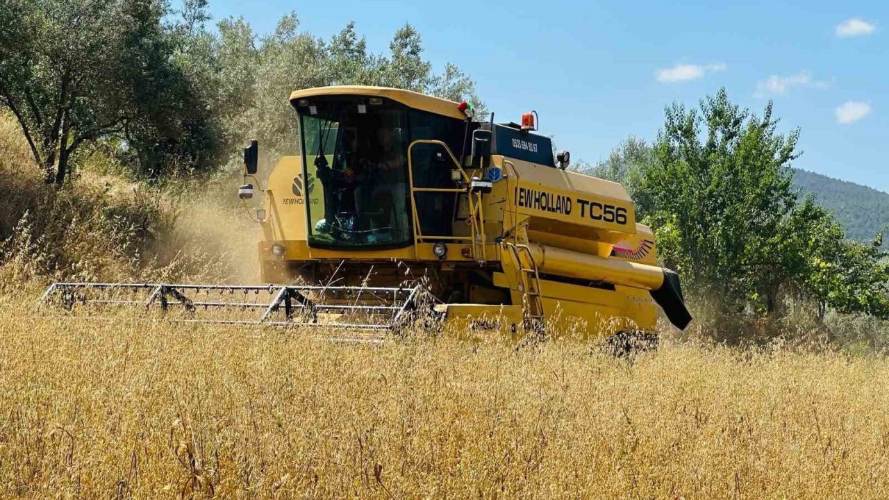 Menteşe’de biçerdöverlere sıkı denetim
