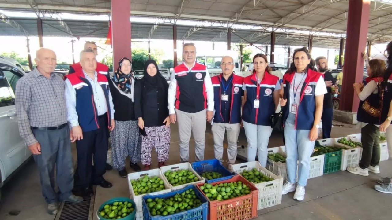 Aydın inciri için denetimler sürüyor