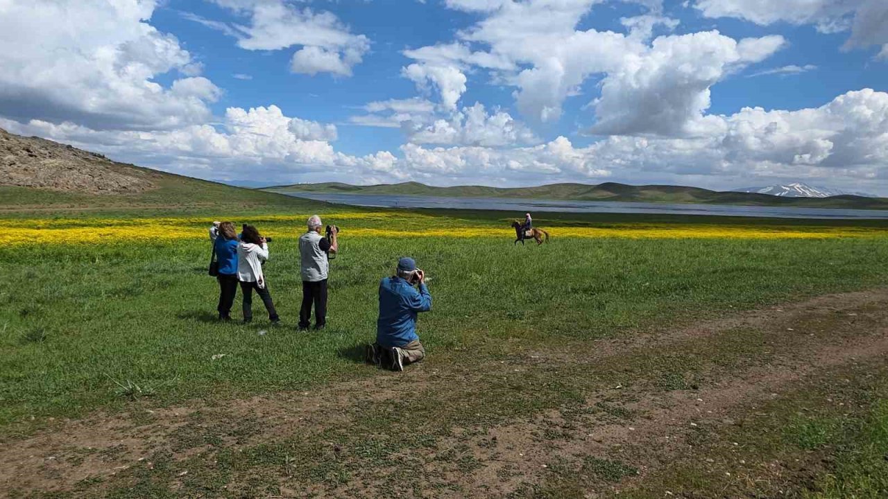 Doğa için deklanşöre bastılar: Dostlar Fotoğraf Grubu Van’ın sulak alanlarını fotoğrafladı