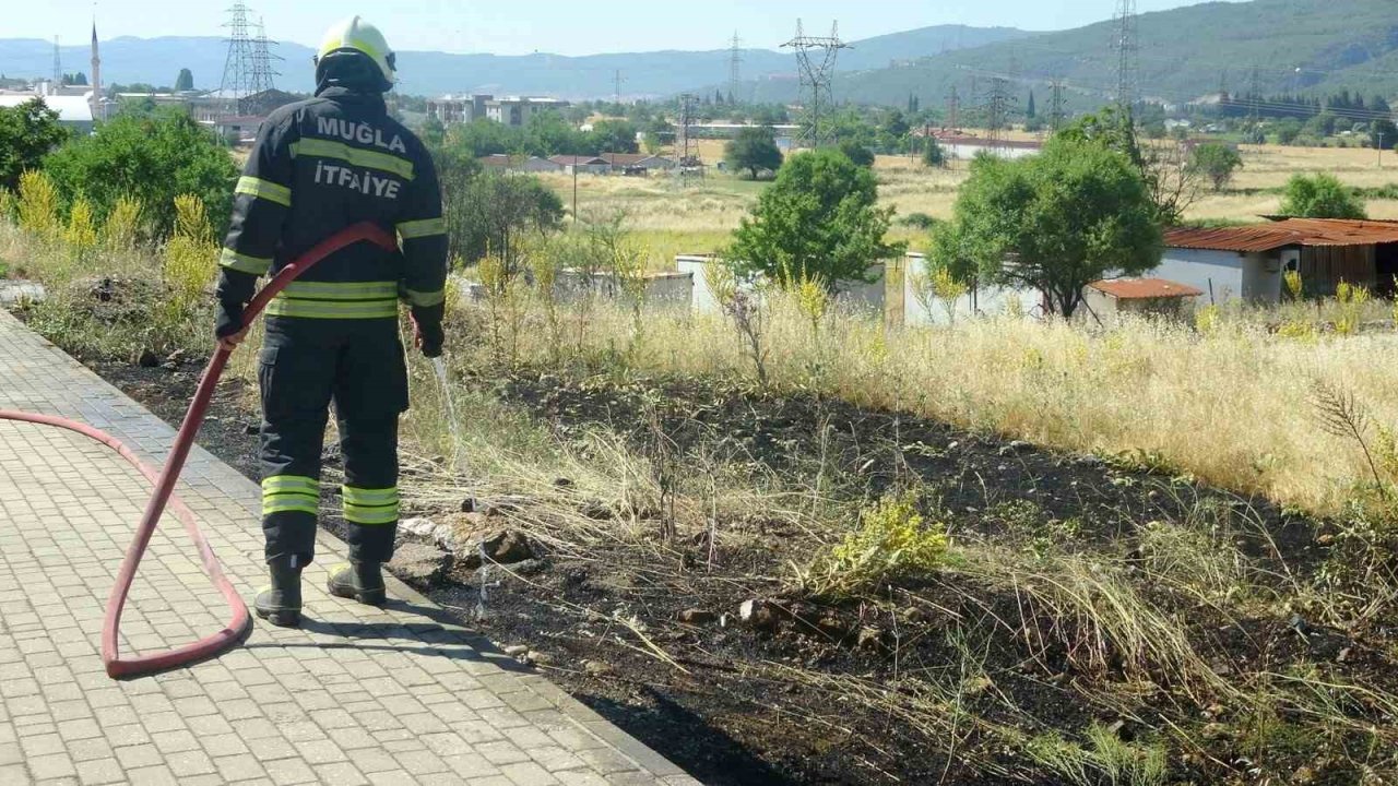 Menteşe’de  yol kenarına atılan sigara izmariti yangın çıkardı