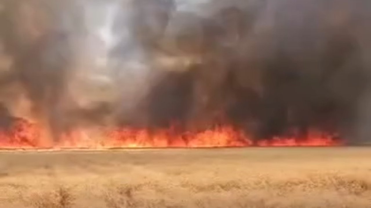 Harran’da 300 dönümlük buğday tarlasında yangın