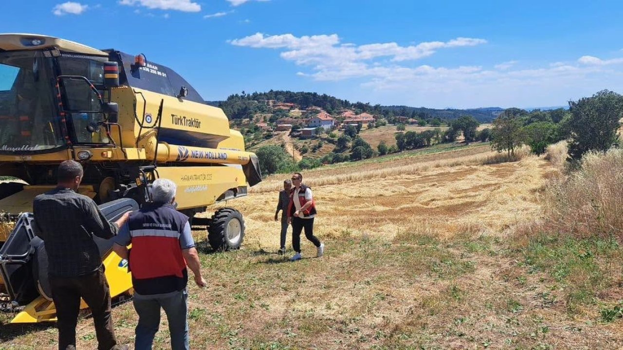 Gediz’de biçerdöverle hasat kontrolü