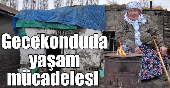 Kars’ta 70 yaşındaki nine gecekonduda yaşam mücadelesi veriyor