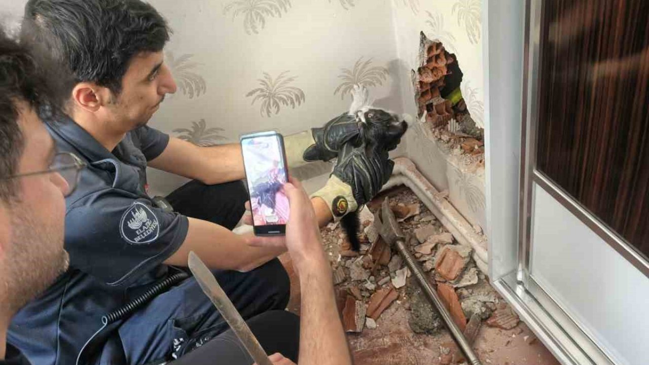 Baca boşluğunda mahsur kalan yavru kedi kurtarıldı