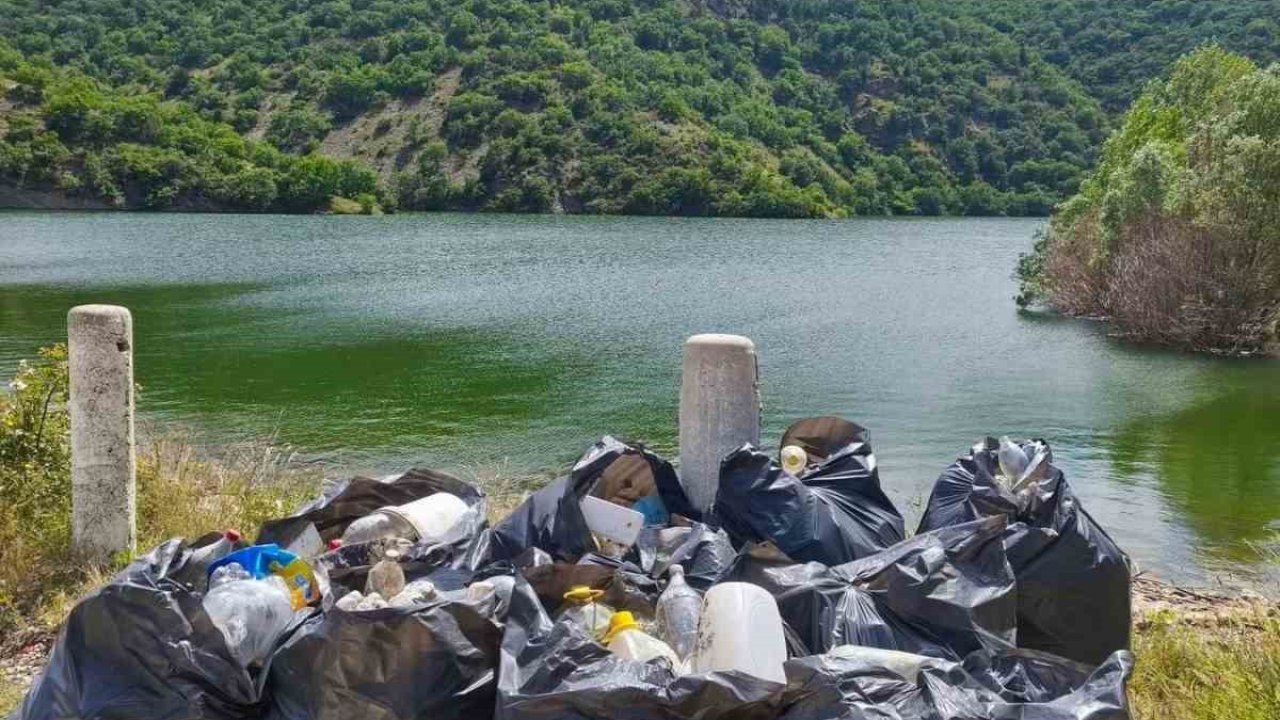 Göleti el birliğiyle temizlediler