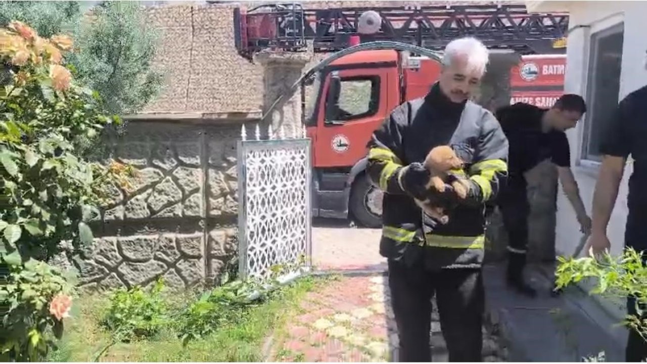 Batman’da fabrika duvarına sıkışan köpek kurtarıldı, işçiler hayvanı sahiplendi